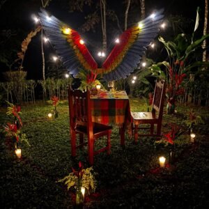 🌿 Guacamayas 8 Días (PRIVADO).