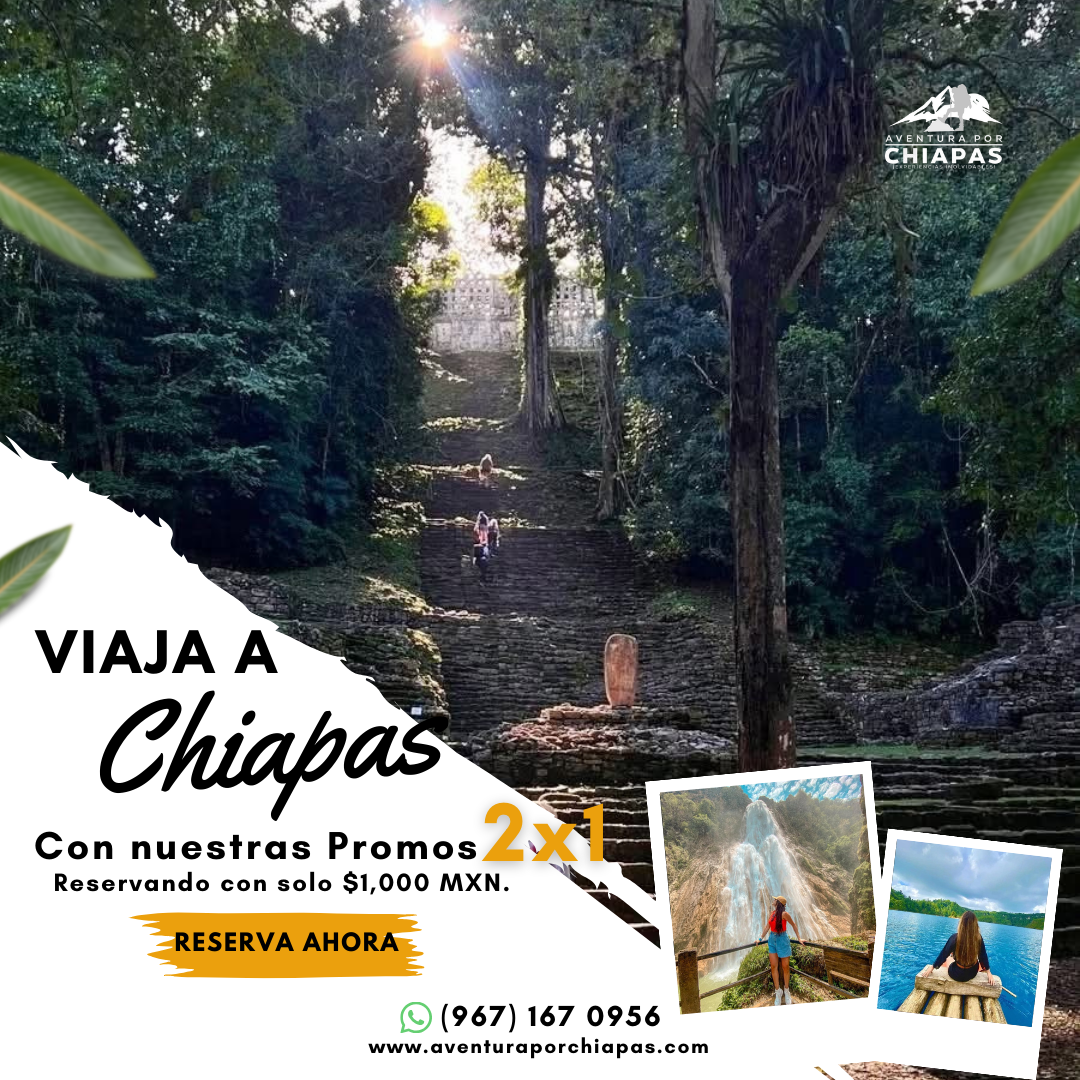 SELVA MAYA 2X1
