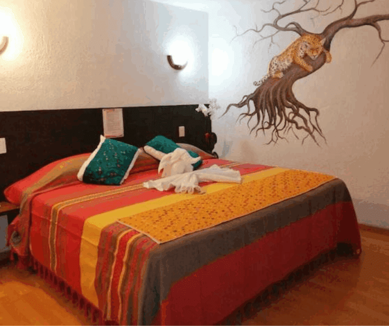 casa-nucu