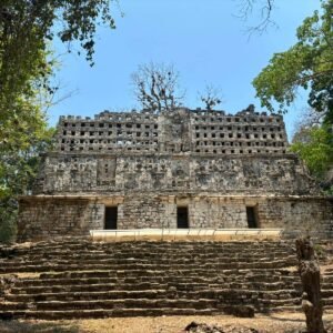 SELVA MAYA 7 DÍAS.