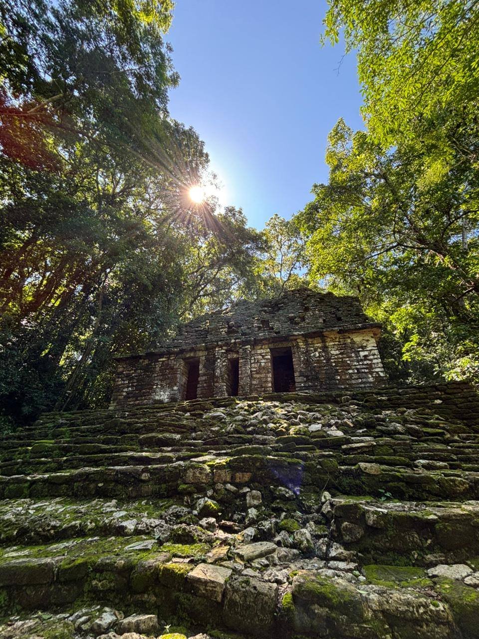 Tour: Caminata en la selva + Bonampak en 1 Día. - Imagen 3
