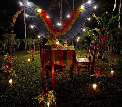 GUACAMAYAS